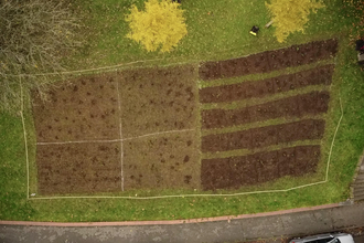 WBCA meadow creation techniques, post scarification