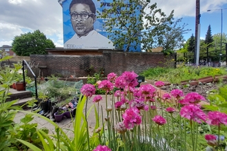 St Pauls Seventh Corner Community Garden Judith