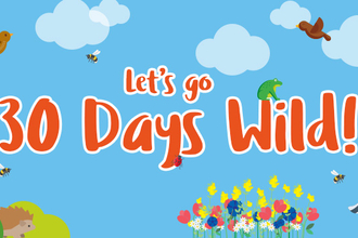 Let's go 30 Days Wild