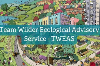 Team wilder Ecological Advisory Service