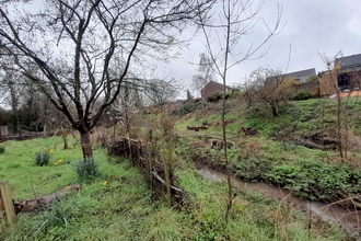 Thornbury Orchard Group river