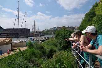 people looking out over the harbour 