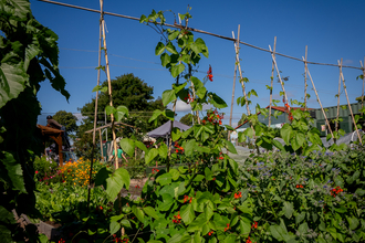 Redcatch Community Garden