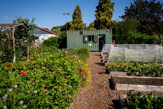 Community garden in BS4 Redcatch Community Garden