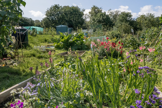 Moorfields Road Allotment plot