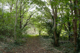 Woodlands Academy outdoors trees