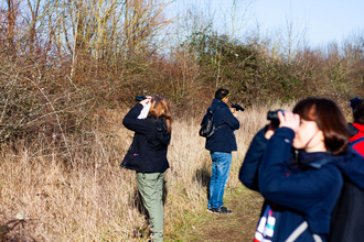 Bird Survey, Hengrove Mounds, (c) Merny Wernz