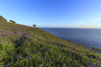 View from Brean Down