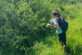 How to Manage Hedgerow for Wildlife 