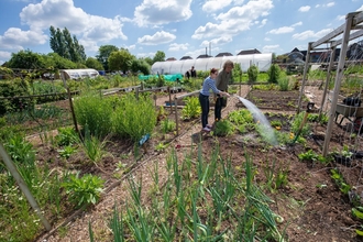 Two people help water crops 