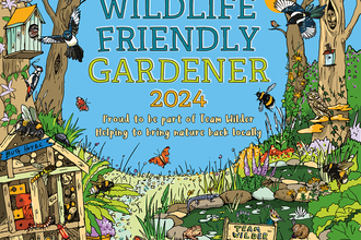 Wildlife gardening competition 2024