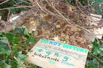 Hedgehog shelter built by the Young Volunteers