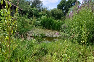 Grow Wilder pond