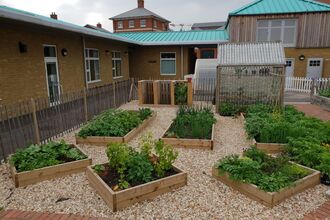 Raised beds in school grounds. 