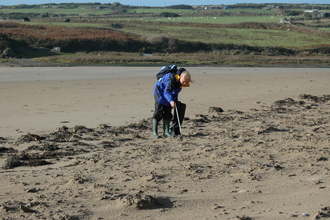 person litter picking on a sandy beach
