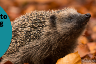 Managing land for wildlife