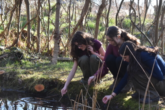 three girls crouching down to the pond