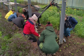 People working in a polytunnel at Grow Wilder