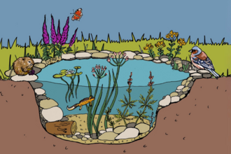 Team Wilder ponds workshop email banner plain higher res