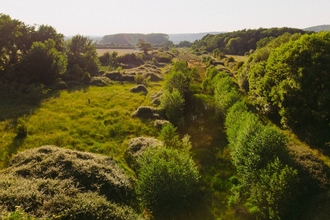 Wild farmland