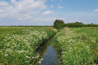 A ditch at Ebdon Farm