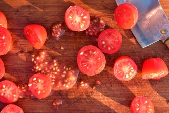 seedsaving