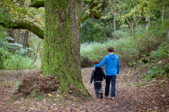 Two children walk past a tree