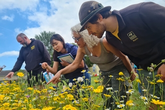 Eric, Community Ecologist in Residence, looks at a wildflower meadow with residents.