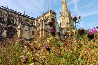 The mini meadow outside St Mary Redcliffe church
