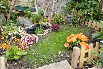 A colourful garden with a variety of plants, small grass area and small fence
