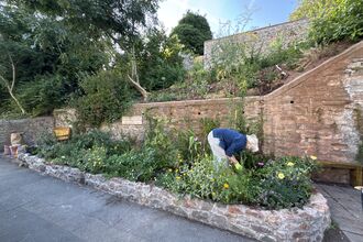 A lady gardening in the street adding plants to a small urban area
