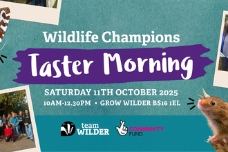 Wildlife Taster Morning Saturday 11th October 10am-12.30pm. Photos of Champions and wildlife