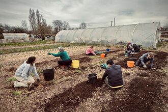 Volunteers planting at Grow Wilder