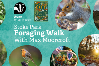 Blue background with pictures of Stoke Park, wl=ild garlic and a grey squirrel on; text reads 'Stoke Park Foraging walk with Max Moorcroft'