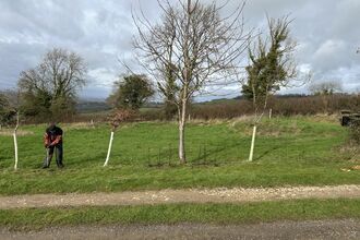 Hedgerow being planted