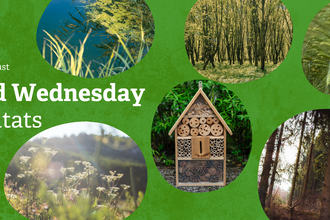Green background with images of a pond, a woodland, a bug hotel and a meadow