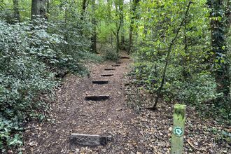 Steps on path in Weston Big Wood