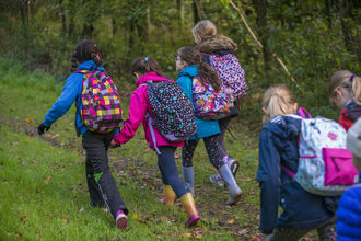 A group of children walking in the woods up a hill with grass under their feet.