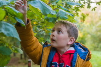 A boy looking up at a leaf on a tree, he has a yellow coat and red hoody underneath. The background is green on a bright day.