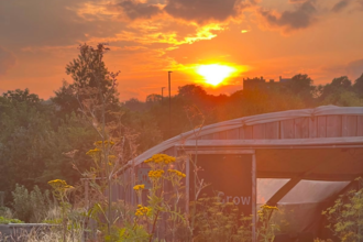 Sunset at Grow Wilder, building shown with greenery around in orange sunset hazy light