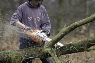 A man chainsawing a felled tree