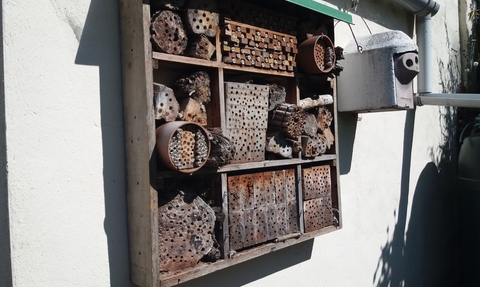 A bee hotel