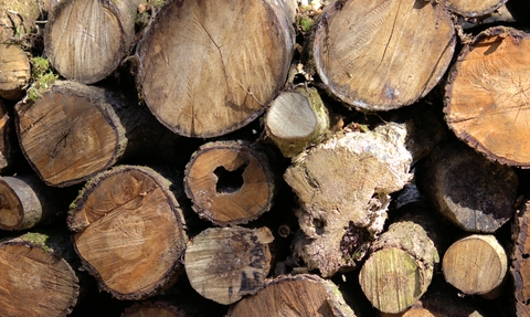 Log pile