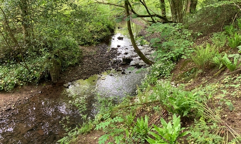 Beautiful brook as part of Trout in the Trym community group