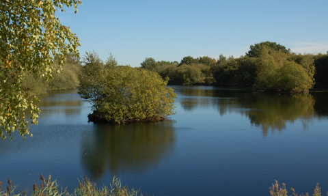A river that has burst it's banks.