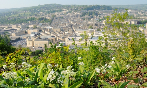 Wild Garlic with Bath in the background