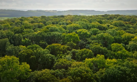 Drone shot of Weston Big Wood reserve