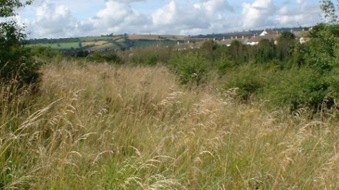 Stockwood Open Space