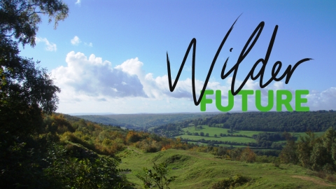 Wilder Future image of Browne's Folly
