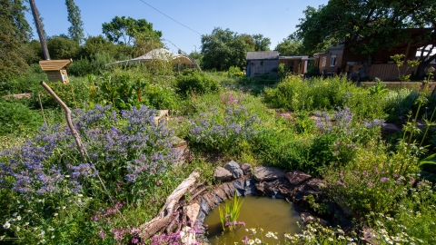 "Pond at Feed Bristol"